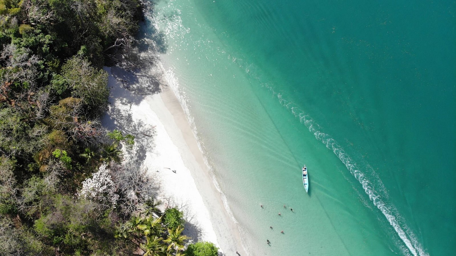 Beachfront
Paradise