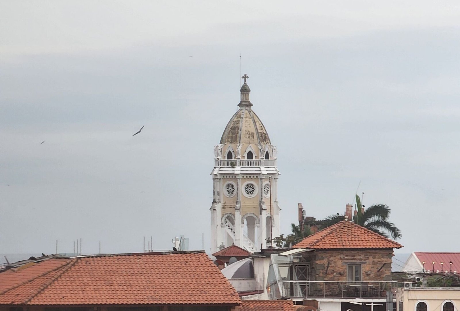 Casco Viejo, Panama City — Vista Realty Group